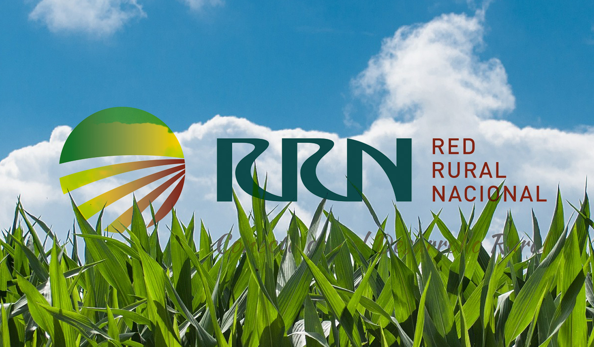 Programas de Desarrollo Rural 2014-2020. RRN
