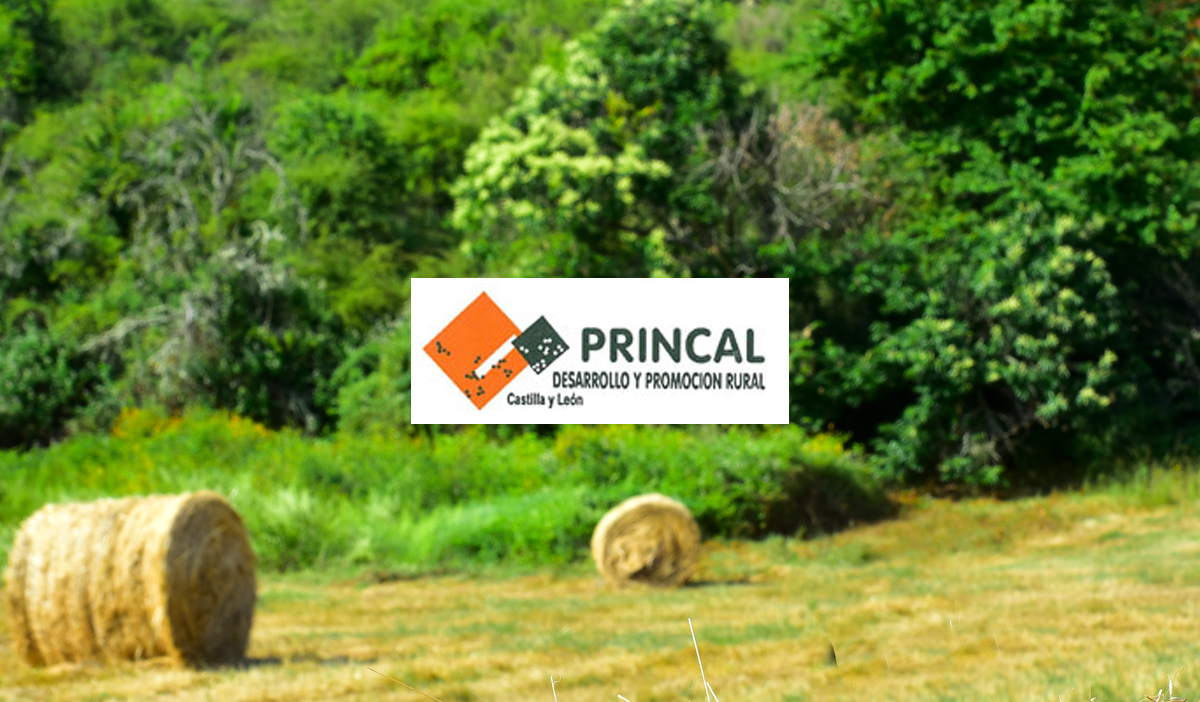 PRINCAL/ Promoción Rural Integral de Castilla y León.