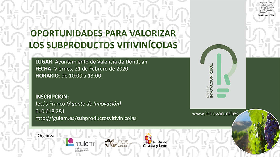 Oportunidades para valorizar los subproductos vitivinícolas