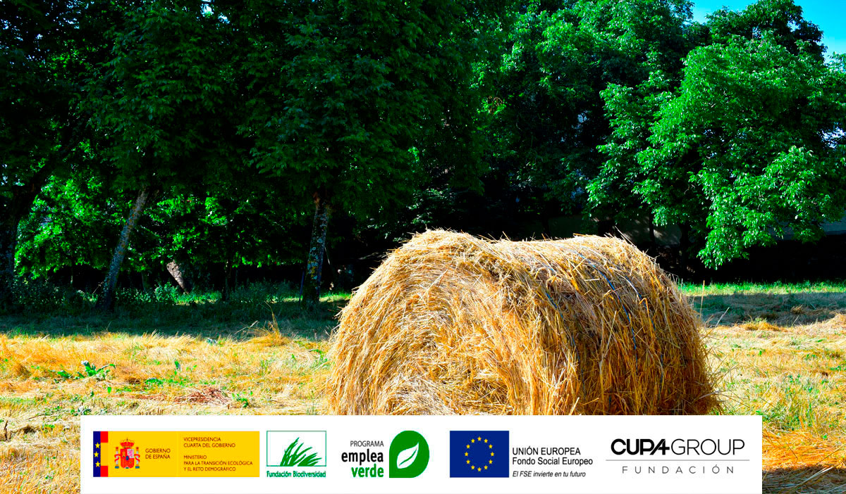 CURSO SUPERIOR DE GESTION AMBIENTAL