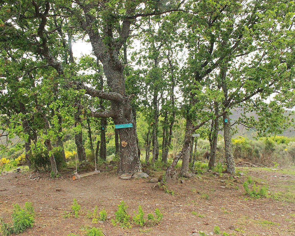 Bierzo rural. Columpio de Valdecarrizo