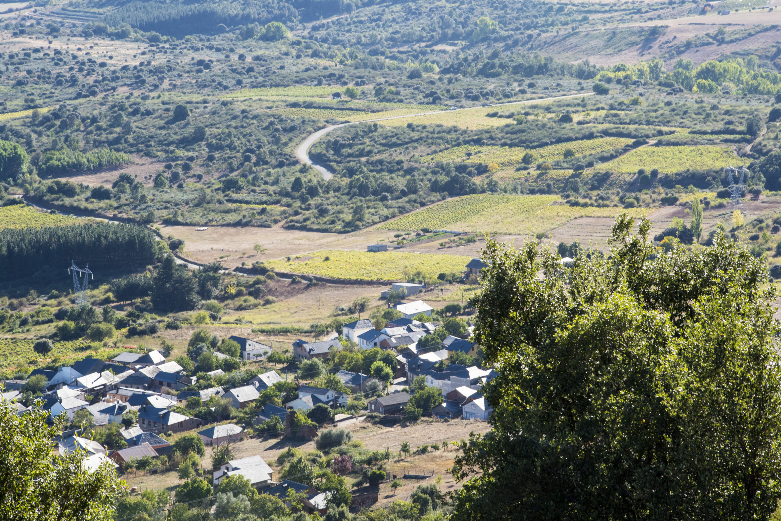 ¿Qué está pasando en el mundo rural?