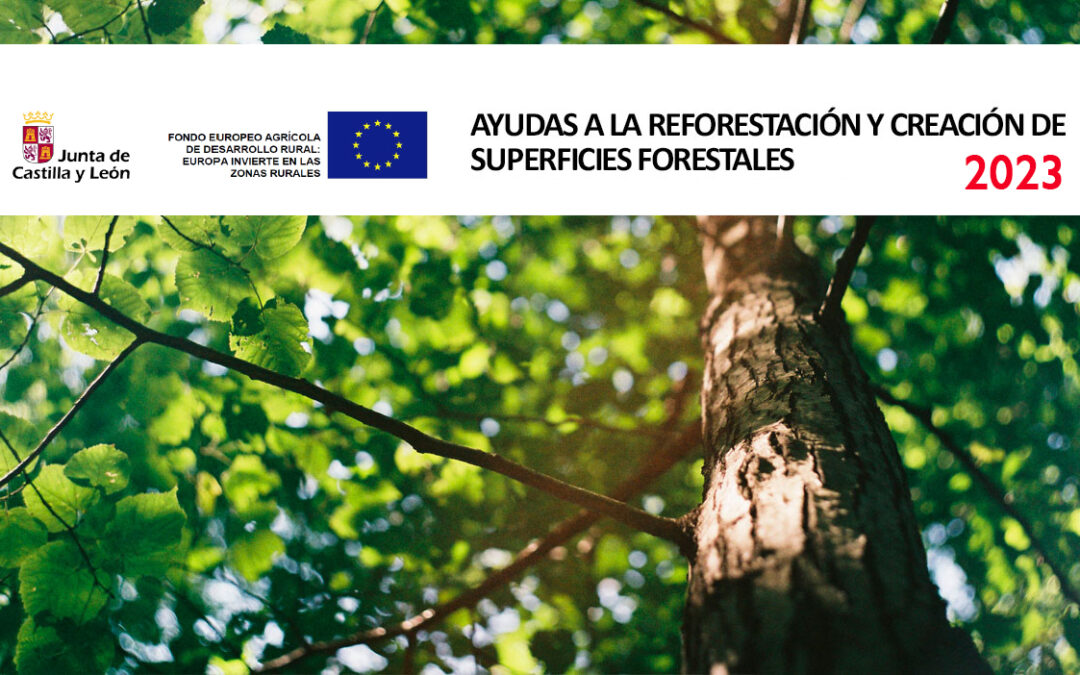 Ayudas JCYL para la Reforestación 2023