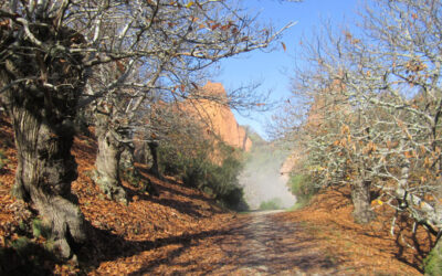 Senda de las Valiñas en Las Médulas