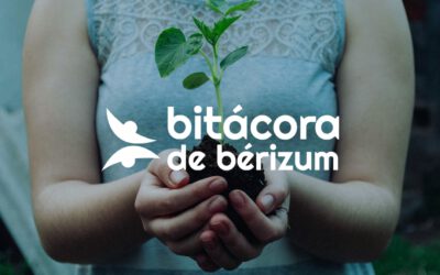 Cursos de Bitácora de Berizum