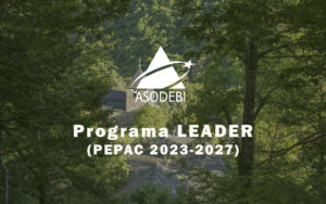 Programa LEADER (PEPAC 2023-2027)