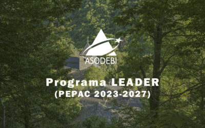 Nuevo Programa LEADER (PEPAC 2023-2027)