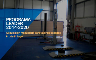 Colevi, taller de pesados