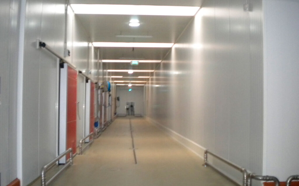 Ampliación de Planta Industrial de Cárnicas Prieto. SANCEDO