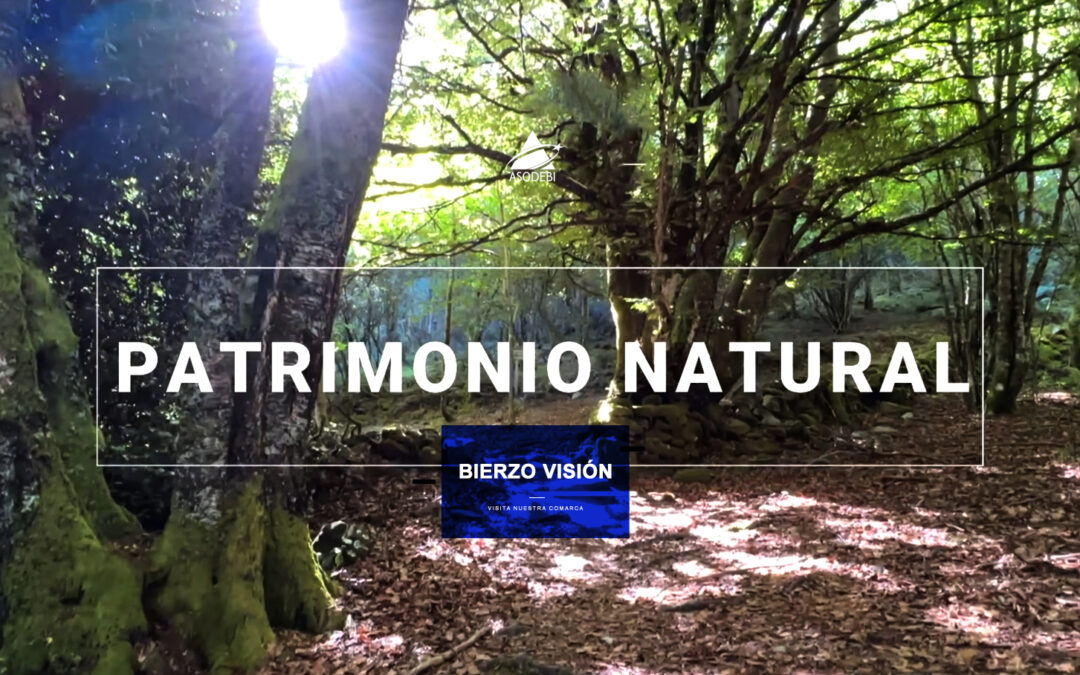 BIERZO VISIÓN – PATRIMONIO NATURAL