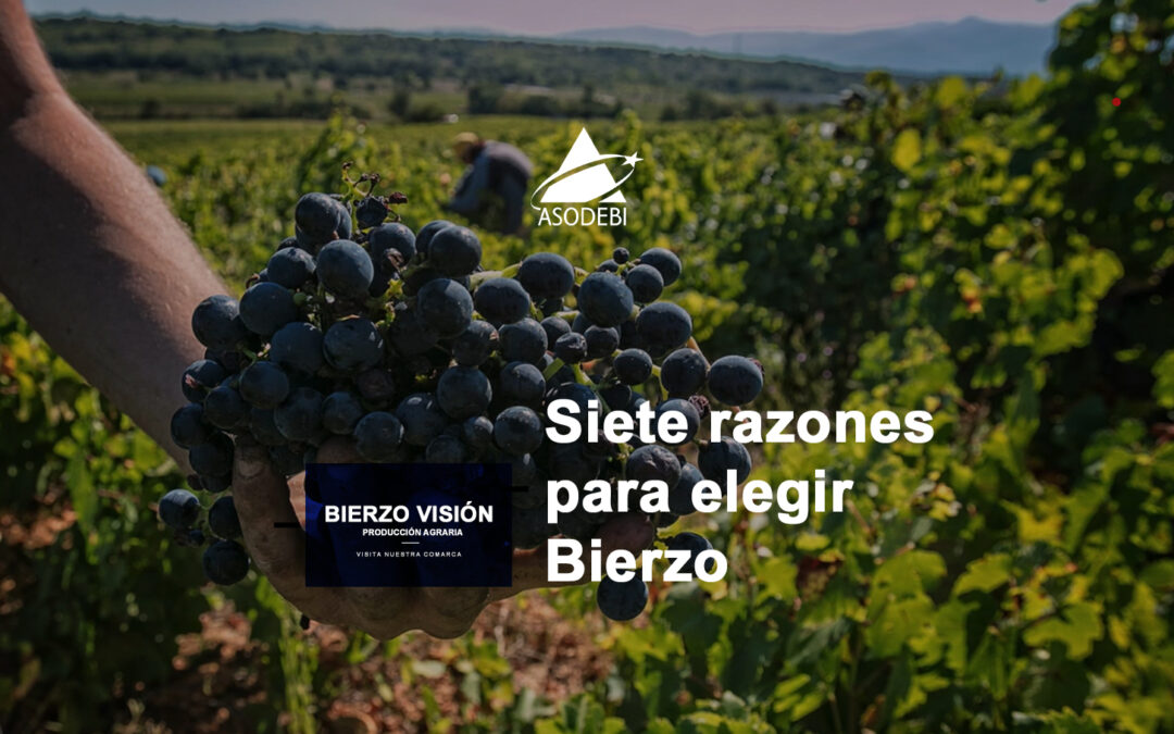 Bierzo Visión – Producciones agrarias