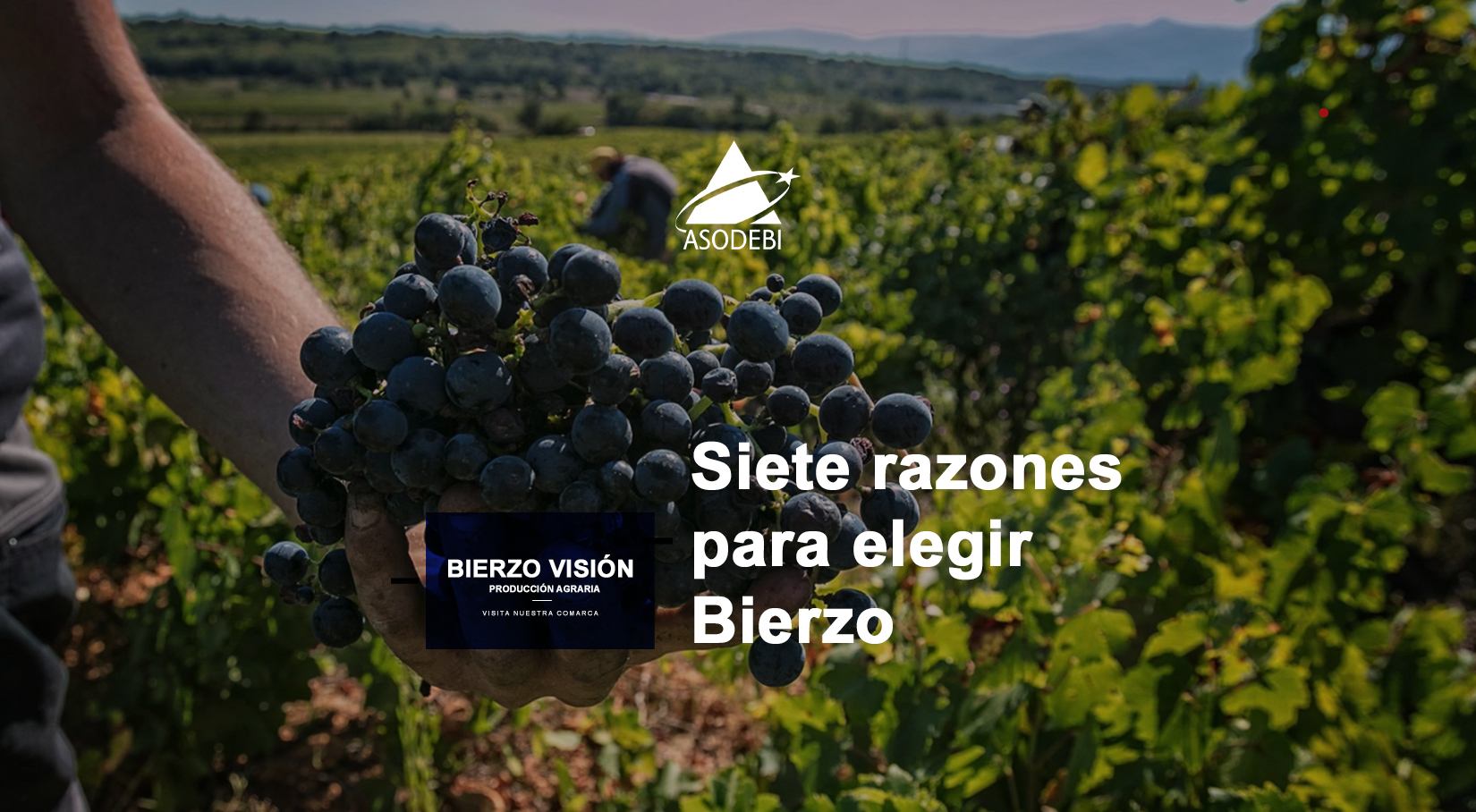 Bierzo Visión Producciones Agrarias. Conoce el Bierzo. Asodebi